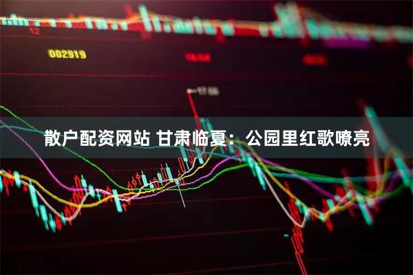 散户配资网站 甘肃临夏：公园里红歌嘹亮