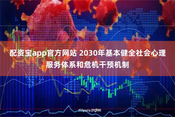 配资宝app官方网站 2030年基本健全社会心理服务体系和危机干预机制